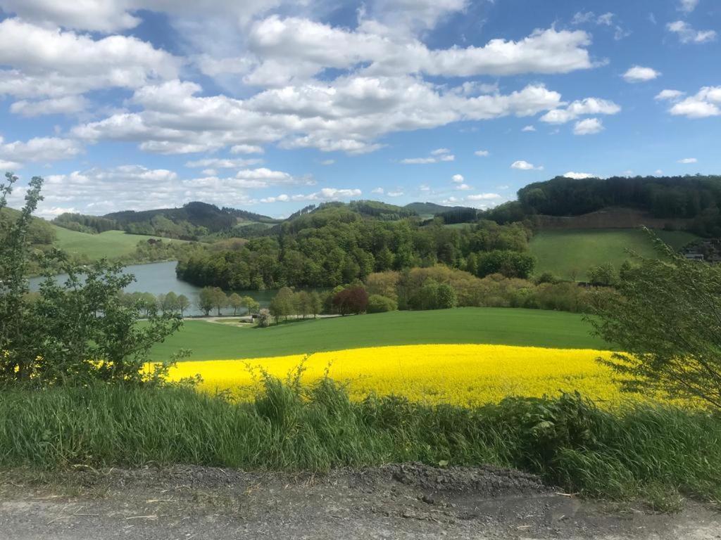 Haus Am Hennesee ميشيده المظهر الخارجي الصورة